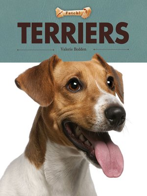 cover image of Terriers